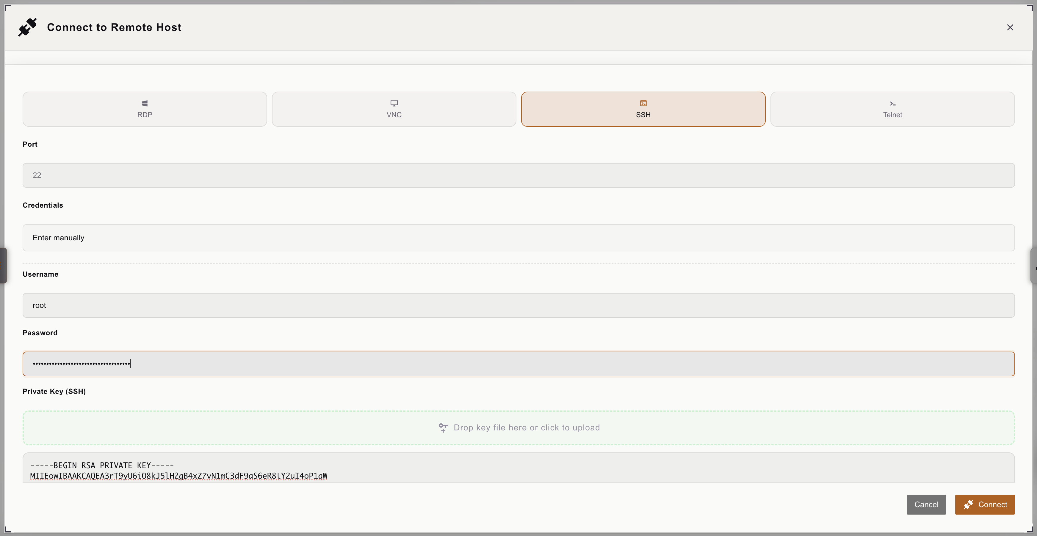 Remote Host connection modal with RDP/VNC/SSH/Telnet selector, port and credential fields, connecting to a Seagate IronWolf storage asset